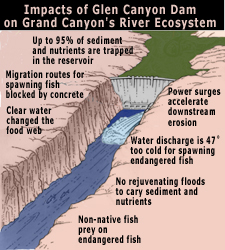 Glen Canyon Dam is killing the Grand Canyon